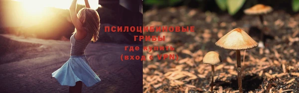марки nbome Каменка