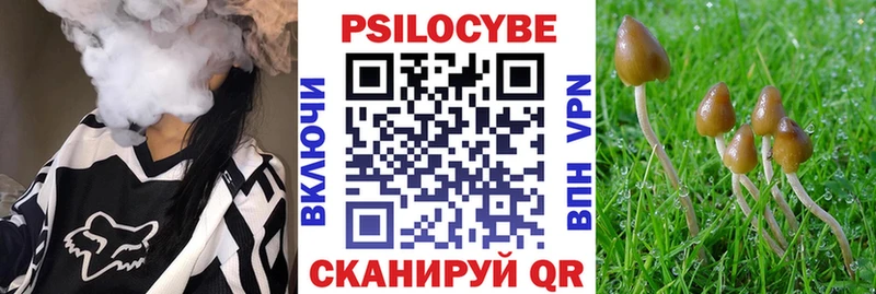 Псилоцибиновые грибы Psilocybine cubensis  Купить  Калязин 